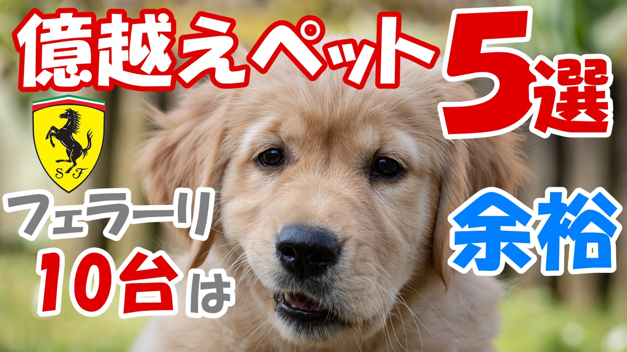 話したくなる動物豆知識 Youtube動物園 Youtubezoo Tips Twitter