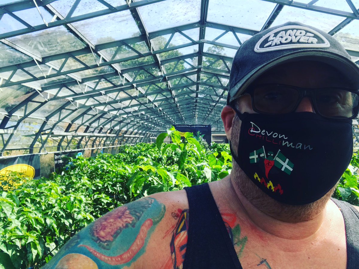 DevonChilliMan's tweet photo. Woah ‘twas scorchio in the glasshouses this morning 🥵🔥🔥🔥🔥🔥🔥🔥🔥🔥🔥🔥🔥🔥🔥🔥🔥🔥🔥🔥

#devonscapedchillicrusader #dcm #devonchilliman #ifitainthotitaintdcm #autopot #growthtechnology #cyconutrients #groteknutrients https://t.co/9VdPMrAVDy