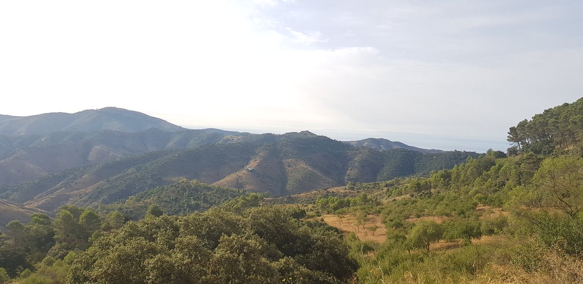 Up early this morning
Direct message us to arrange a tour or rental 
#bikerental
#bikehire
#cycling
#cyclingholidays
#cyclespain
#cyclinglife
#rideyourbike
#fromwhereiride
#adventure
#roadbike
#gravelbike
#mountainbike
#basetraincostadelsol