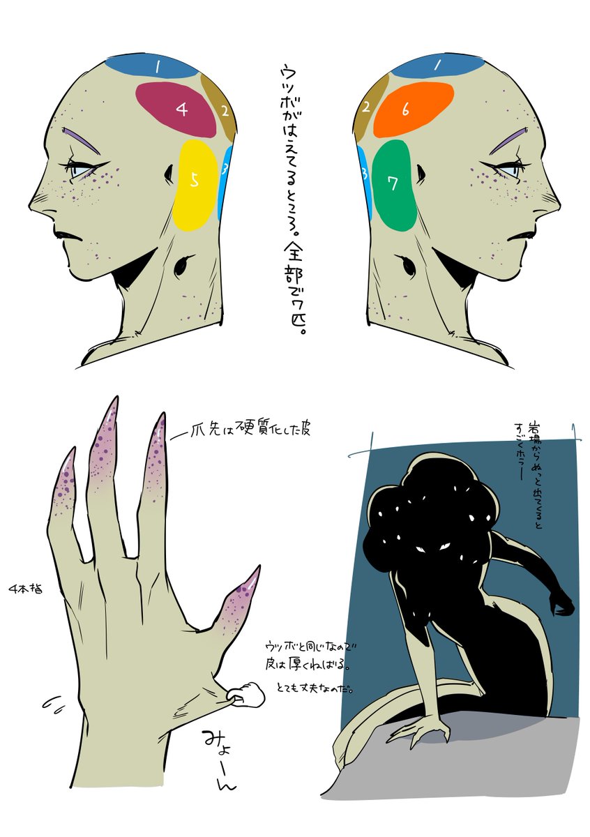 ちゃんとキャラシ描いたことなかったウツボくんも大分固まってきたので見てくれ 