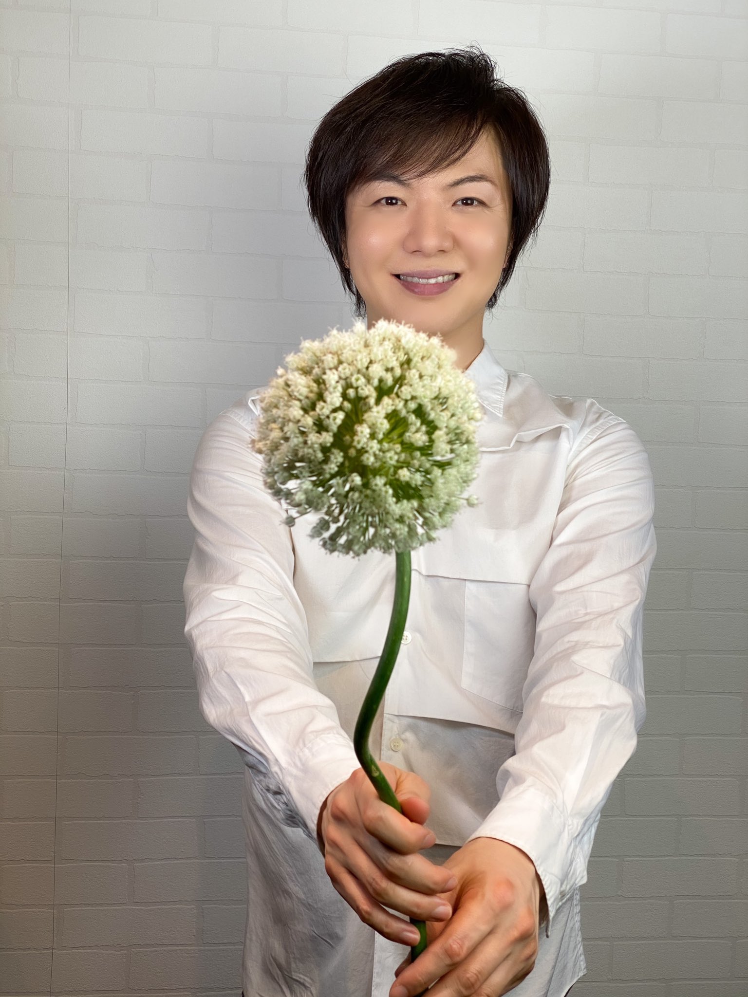 竹島宏スタッフ 公式 Al Twitter アリウム ギガンチウム 花言葉は 才能 小さな花が集まって 大きな ポンポンみたいになります 一輪でかなりの存在感あり 今日も１日お疲れ様でした ひろネット 花 Flower 花言葉 花を贈ろう 花のある暮らし 絆