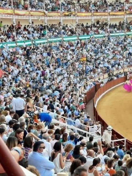 Alicia82mad's tweet photo. 🔺Jueves 5.000👨🏼‍🤝‍👨🏻toros en Cádiz
🔺Ayer 2.500 concierto de Taburete Marbella

Luego la culpa es del Gobierno Nacional, los Autonómicos, la OMS, los 👽 y de que la abuela fuma

Los que estamos fallando somos NOSOTROS!! 

RESPONSABILIDAD #LocusInterno por favor 🙏🏼 y centrarnos!! 💖 https://t.co/XthKZTltzq