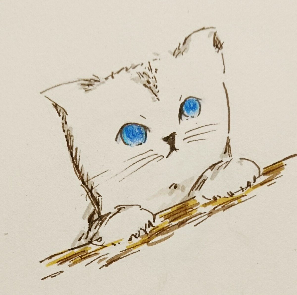 「今日は世界猫の日らしいと聞いて。前に描いたものですが…(最後のは結構前に描いたも」|dodoのイラスト