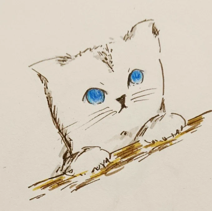 今日は世界猫の日らしいと聞いて。前に描いたものですが…(最後のは結構前に描いたもの) #世界猫の日 #猫イラスト #猫好きさんとつながりたい 