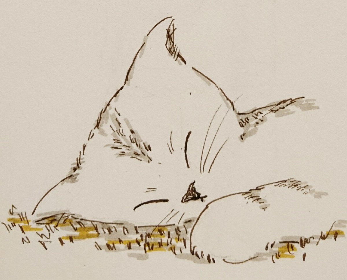 「今日は世界猫の日らしいと聞いて。前に描いたものですが…(最後のは結構前に描いたも」|dodoのイラスト