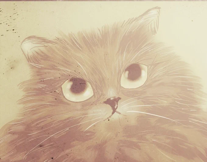 今日は世界猫の日らしいと聞いて。前に描いたものですが…(最後のは結構前に描いたもの) #世界猫の日 #猫イラスト #猫好きさんとつながりたい 