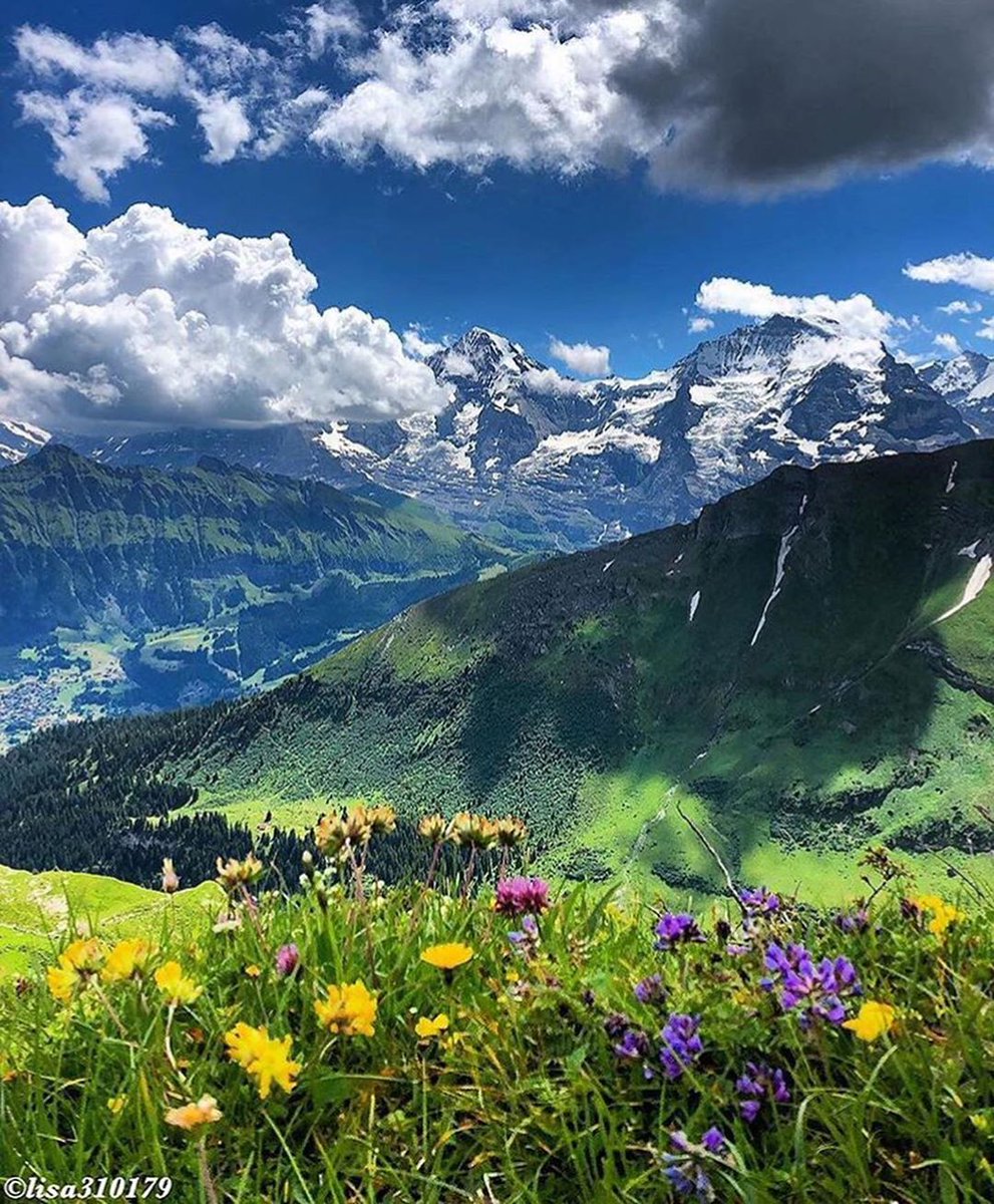 squareofin's tweet photo. Which photo is your favourite 1-2-3-4 ? 😍😍
Please Follow Us for more - @squareofin 
Please Follow Us for more - @squareofinfi
.
📸 @hiking_with_lisa 
📍 Switzerland
.
#switzerland #switzerland🇨🇭 #greenlan #travelingaroundtheworld #travelingislife #travelingartist https://t.co/KDwwiXkrXJ