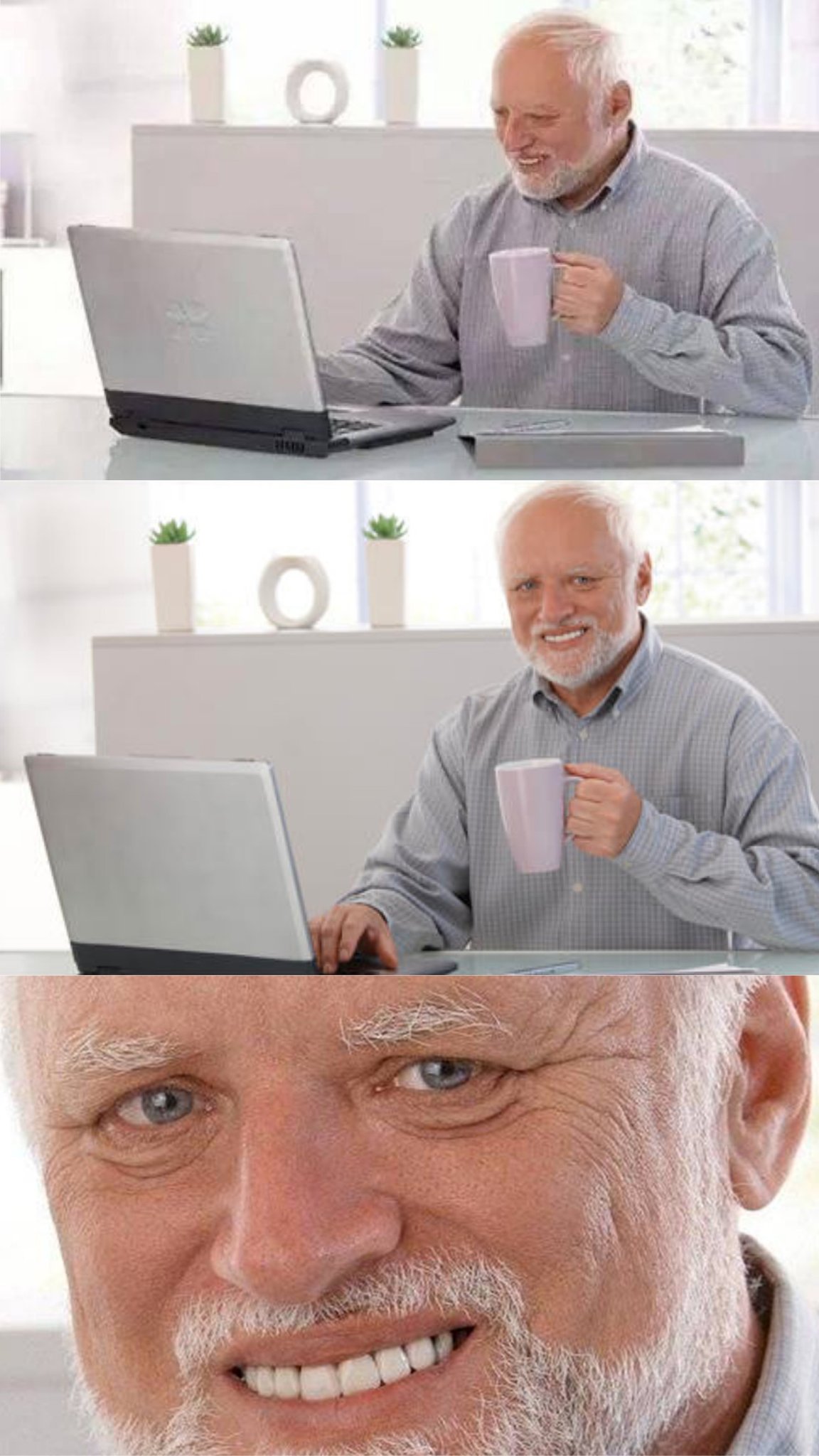 Harold Hide the Pain