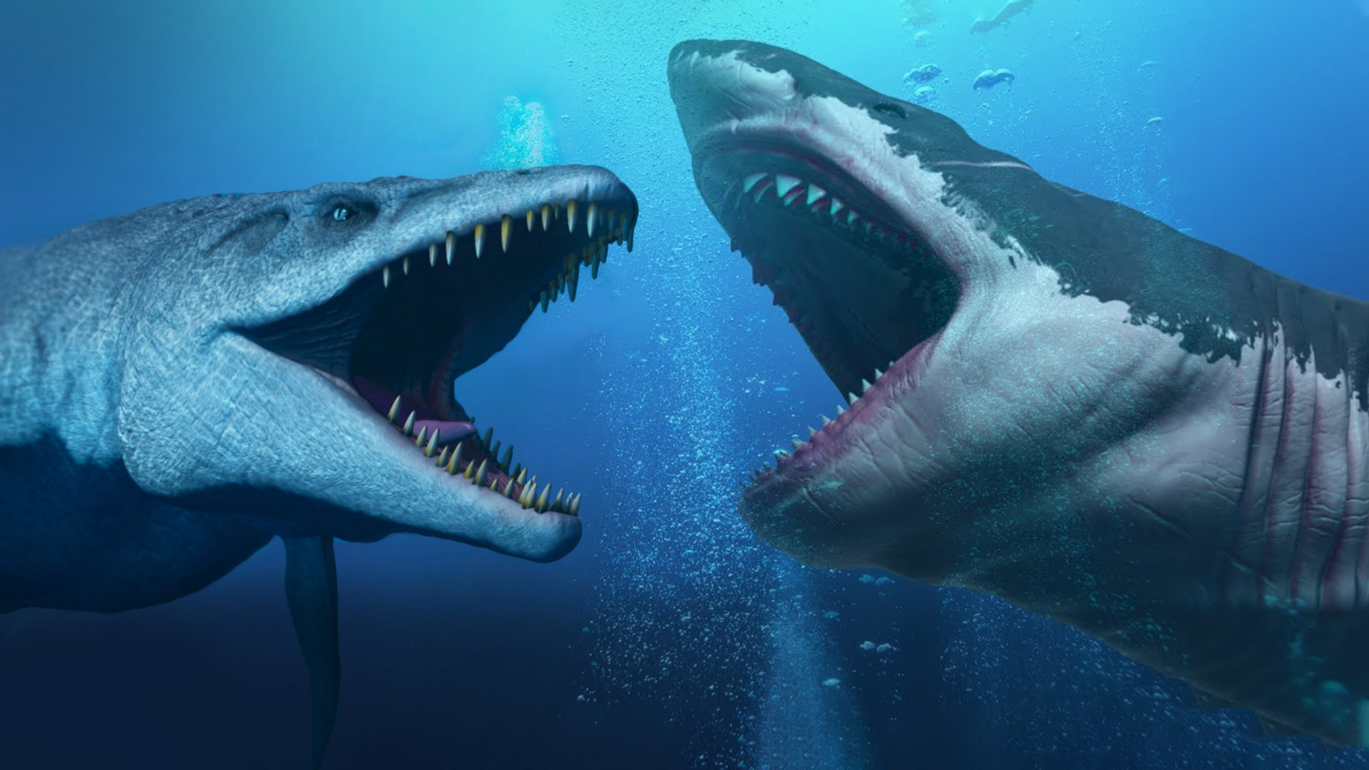 タッド星谷 Tad Hoshiya この後フジテレビで Meg ザ モンスター やるけど このメガロドンと並ぶ巨大な水中生物と言えば ジュラシック ワールド でお馴染みのモササウルス オレはモササウルスの方が好き ちなみに史上最大なのは今も生きてるシロ