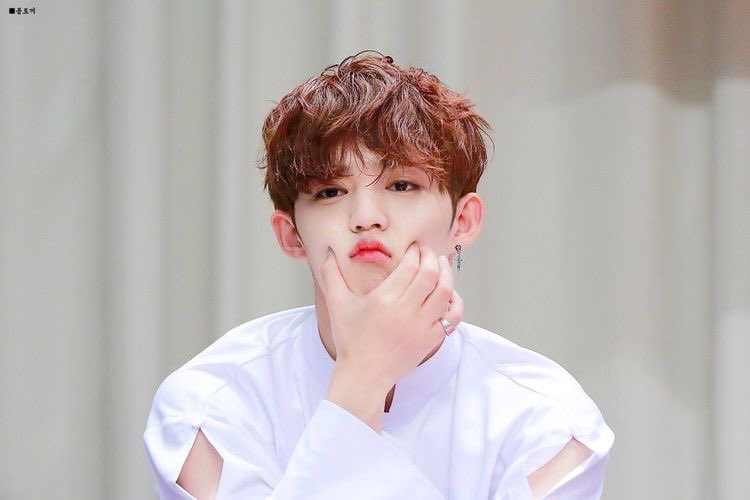 _____jj7's tweet photo. #영웡한_대���토끼_승철아_생일축하해
#OurCherrySCOUPSday
#HappyScoupsDay 
#HAPPY_SCOUPS_DAY https://t.co/RUwT7OzCuE