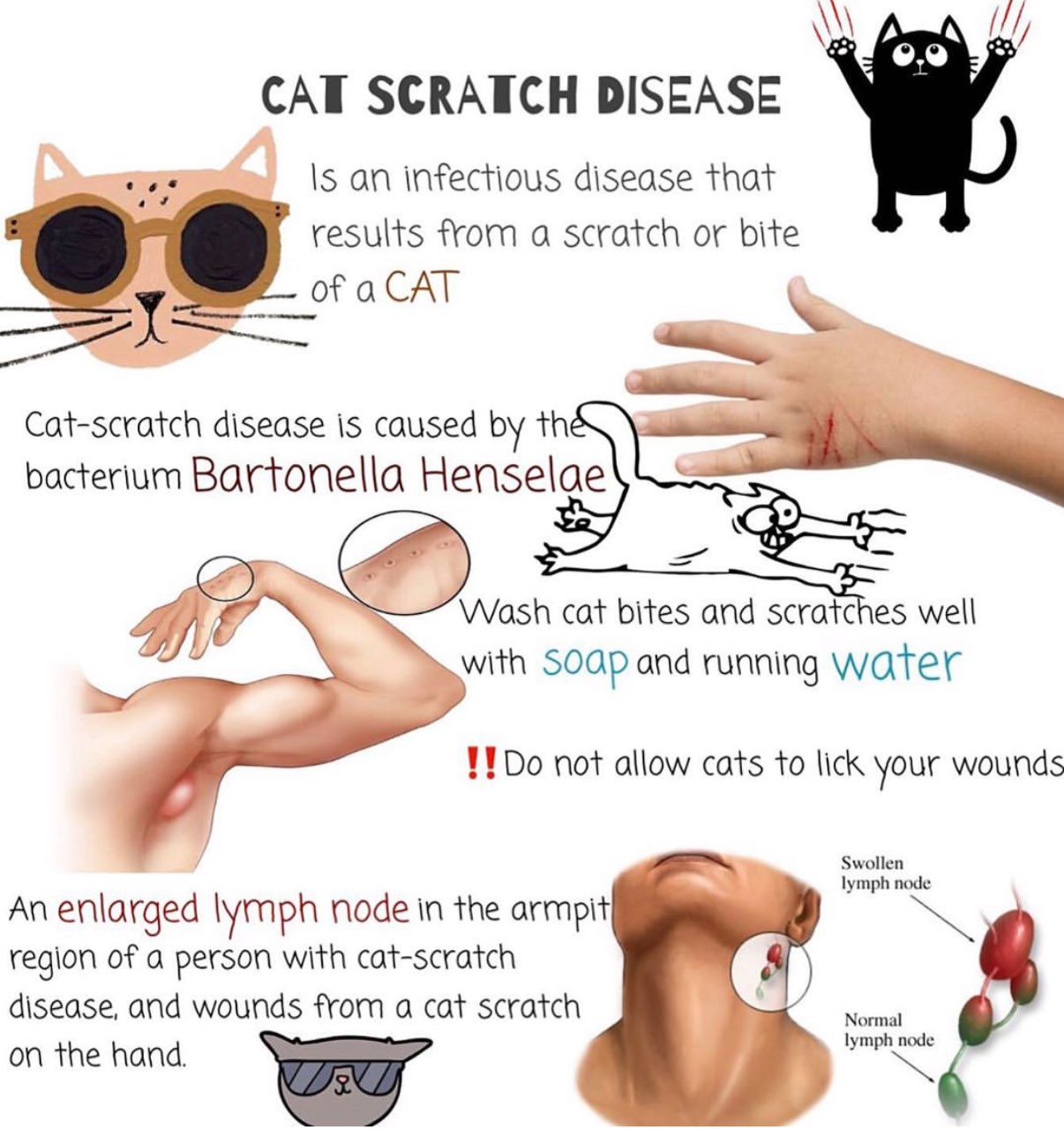 Share more than 130 are cat nails poisonous super hot songngunhatanh