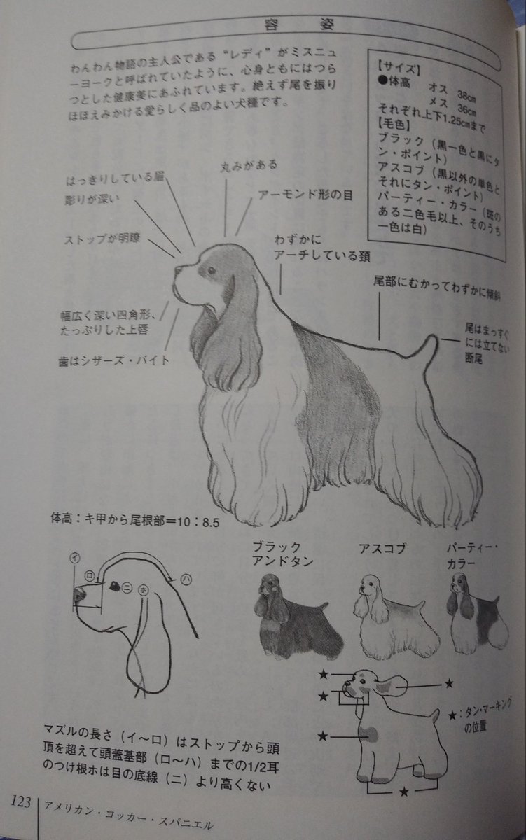 アメコカ記念日まとめ Min T ミント