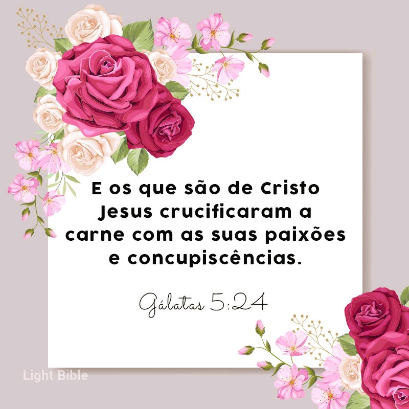 Vanessa Lima Silva (@wanessadls2310) on Twitter photo 