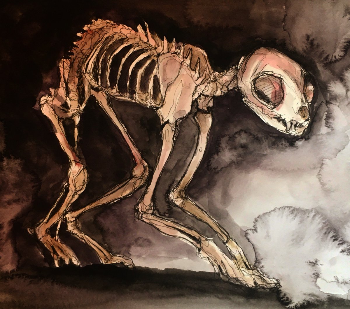LydiaMcC414141's tweet photo. Something a little different this morning 💀🖊
#macabreart #skeletons #cat #catskeleton #pen #drawing #sketch #illustration #watercolor #watercolorpainting #watercolours #watercolourart #penandwatercolor #penandwash #dark #saturdaymood #art https://t.co/OmW5Hc6YFP