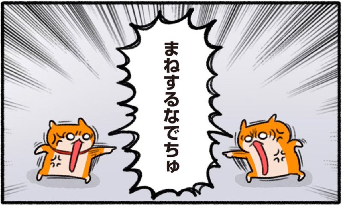 クソハム、ひとりじめしたい
#生きぬけ爆走クソハムちゃん 