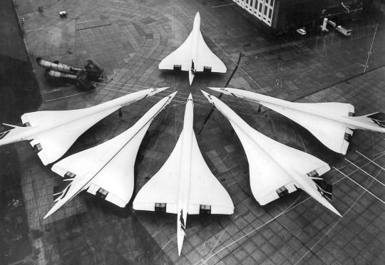 Robertoortegask's tweet photo. @moodvintage Sniffing the others #Concordes https://t.co/ThftKRMyBl