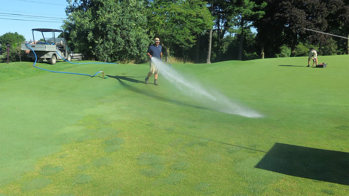 USGA Green Section tweet media