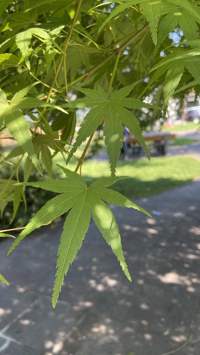 TopicRuben tweet media