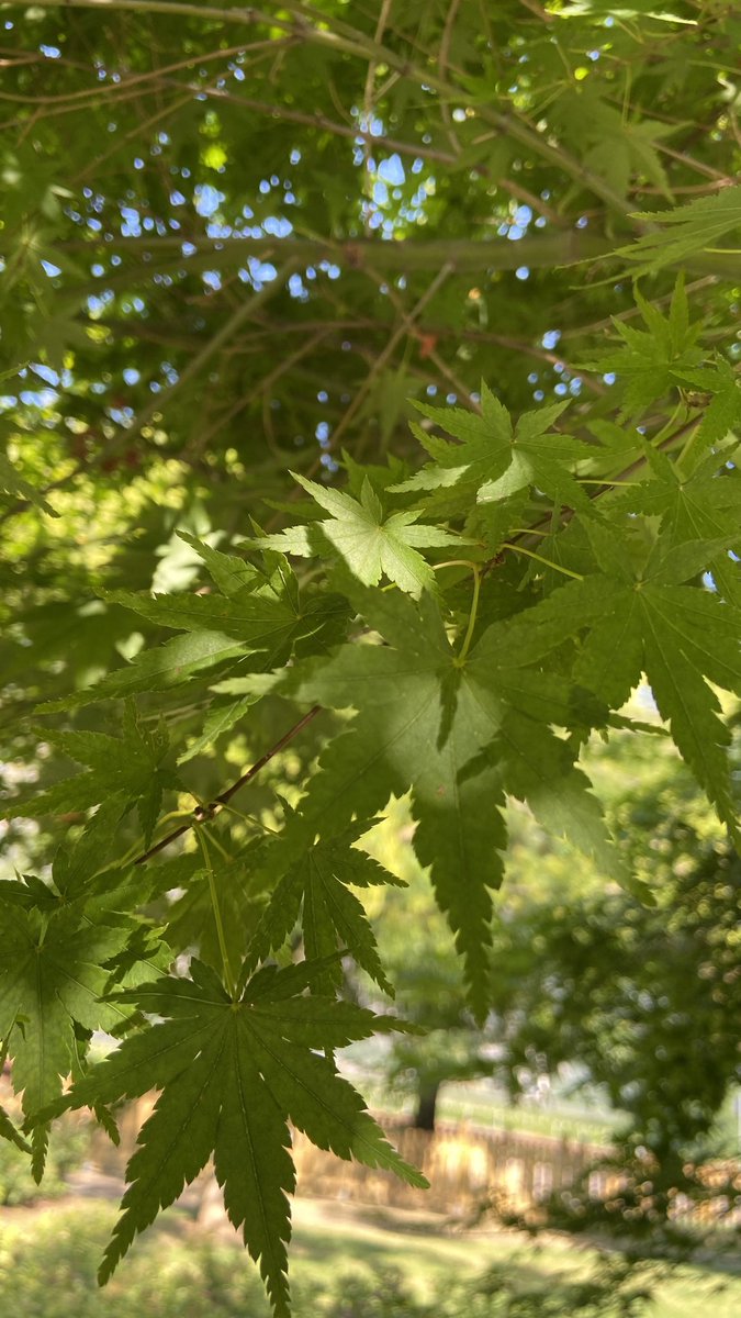 TopicRuben tweet media