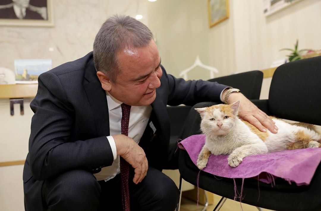 Muhittin Böcek