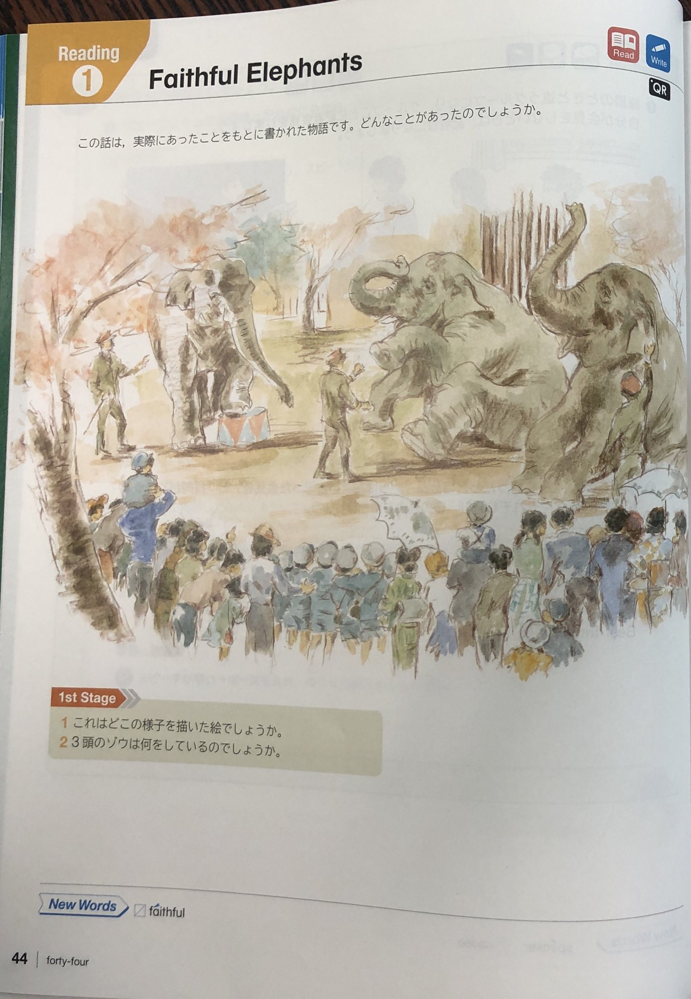 Akabishi2 開隆堂中学校英語 今年採択版もまだある Faithful Elephants がこちら T Co 2erxhqvot3 Twitter