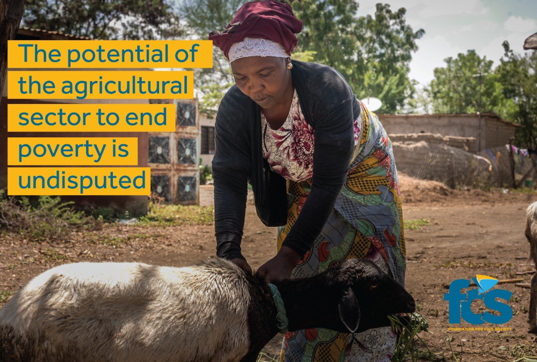 FCSTZ's tweet photo. Inclusivity and Innovation in the agricultural sector is important fir the growth of the sector.
#nanenane #AzakinaKilimo https://t.co/4IGmnDtow9