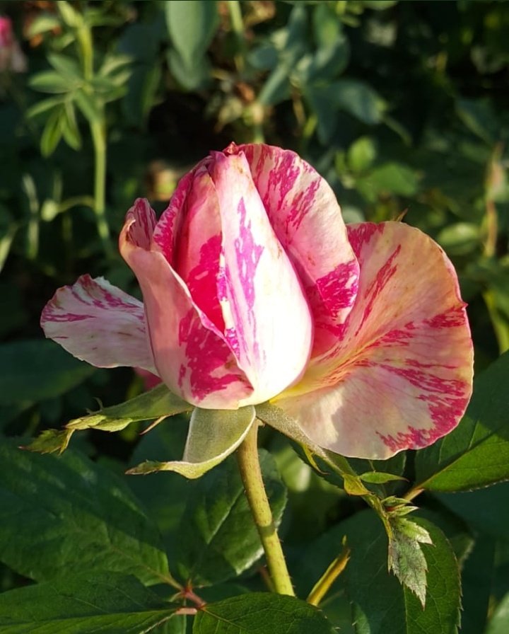 Senelerce bekleyip de bir saat daha bekleyememek.