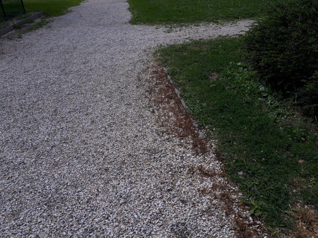WeedingTech's tweet photo. We're thrilled to be expanding in Hungary! A recent trial in Elvis Presley Park in #Budapest has been successful - you can see for yourself from these photos! #friendsoffoamstream #foamstreamdistributors #royalkert #ecofriendly #greentech #cleanteach #hungary https://t.co/wTyTy9Nr3t