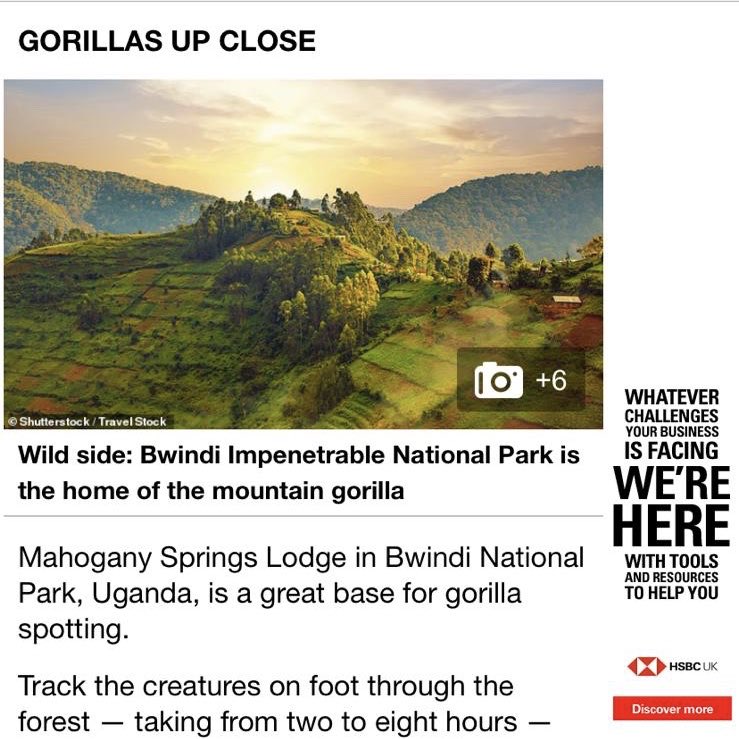 MahoganySprings's tweet image. Mahogany Springs is so flattered to get a mention in the @dailymail today both online and in the printed paper. A huge thank you to @adelecutler. #uganda #gorillas #lodgelife #bwindi #hotel #press #tourism #leisure #travel #bucketlist