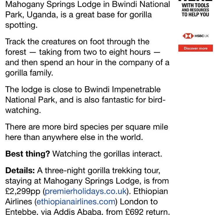 MahoganySprings's tweet image. Mahogany Springs is so flattered to get a mention in the @dailymail today both online and in the printed paper. A huge thank you to @adelecutler. #uganda #gorillas #lodgelife #bwindi #hotel #press #tourism #leisure #travel #bucketlist