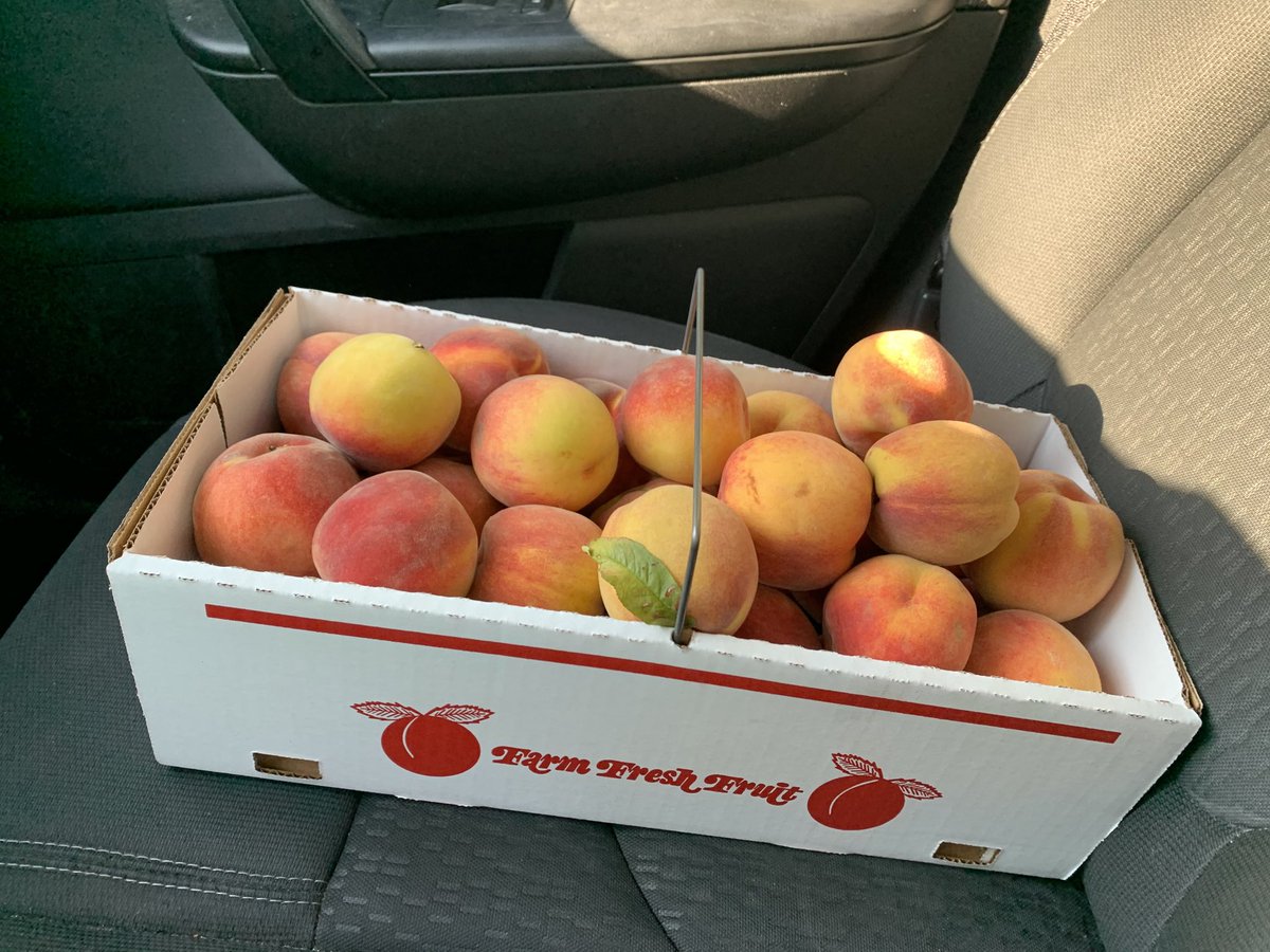 RickPlatt's tweet photo. Got em.  First customer at Legend Hills Orchard.  Last peck though. #LocalPeaches are in demand. https://t.co/aIFJ1yPhbq