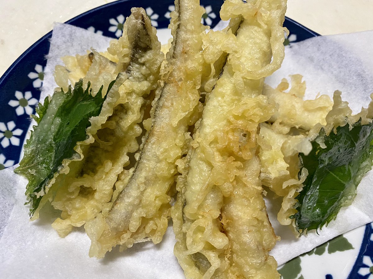 シロー式 先日のマゴチを頂きました 刺身はフグのような食感だけどフグに劣らず美味しい リリースサイズの死なせてしまった小ぶりは天ぷらに ところが この天ぷらが絶品 ふわふわホッコリとした食感で穴子の天ぷらみたい 骨は出汁を取って