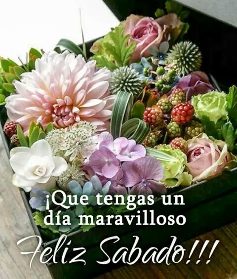 GuilleFuentes17's tweet photo. #AlfinSabado🍀☕ https://t.co/ts2bcBhzP7