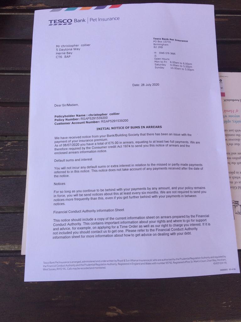 Talking to my dog tweet media