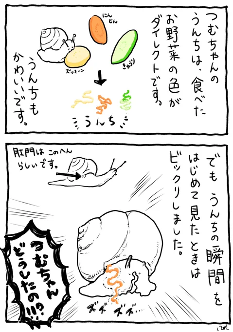 かたつむりかわいいです(その4) 