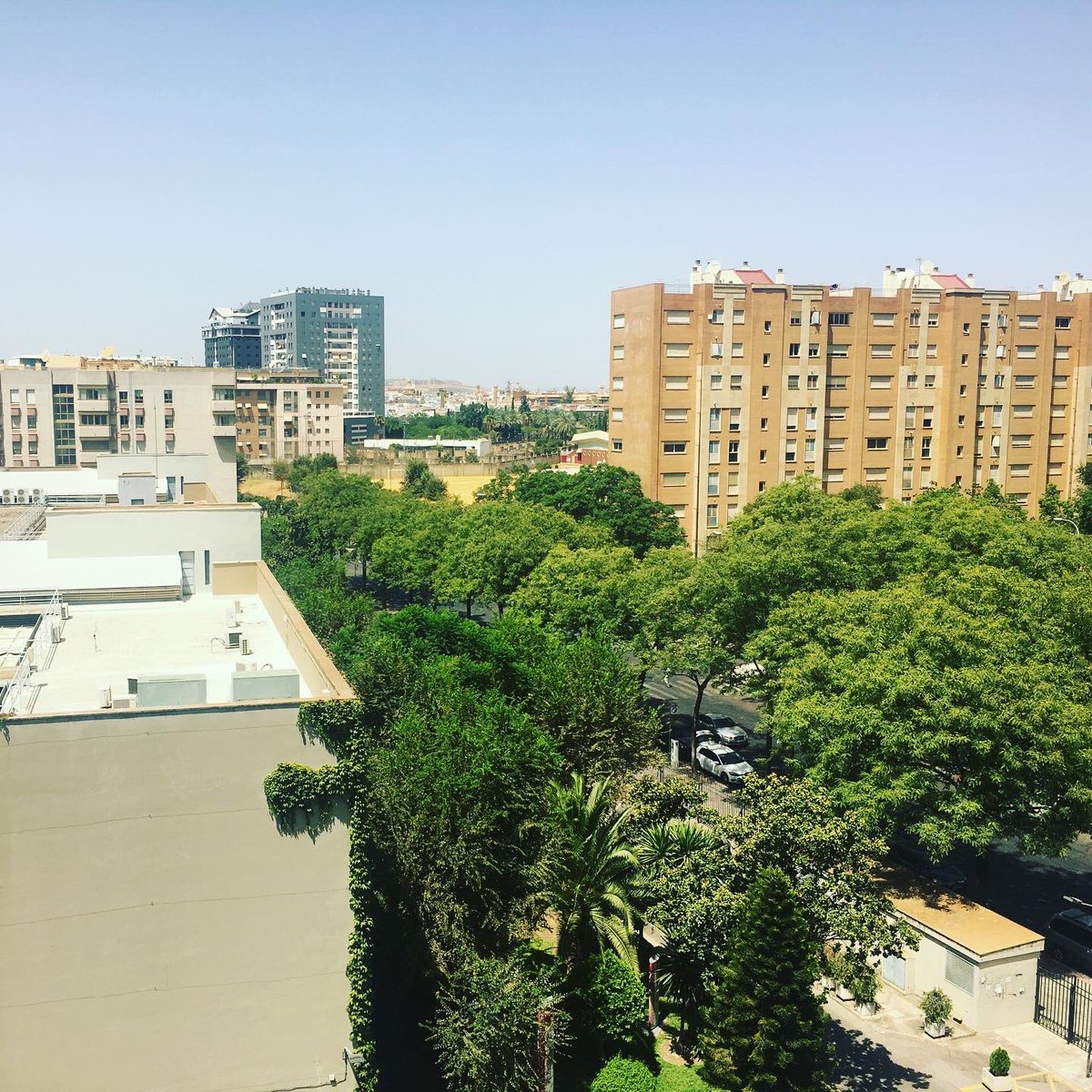 El próximo lunes inauguramos la nueva oficina de producción con los meritorios de <a href="/CampusEUSA/">EUSA Sevilla</a>. Por ahora solo os desvelamos sus fantásticas vistas #cortoduende #colibrifilms