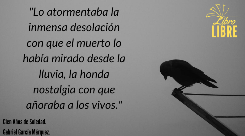 LibroLibre3's tweet photo. Síguenos.

#LibroLibre #GarcíaMárquez #CienAñosdeSoledad https://t.co/et21uGx8hl