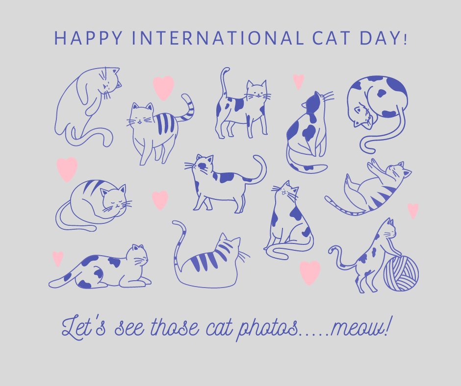 Happy International Cat Day!  Let's see those kitties that you love and share your life with! 
Looking for a cat to add to your life?we have so many nice cats up for adoption right now and we're in the midst of our Summer Va-CAT-ion adoption special! Visit humaneohio.org