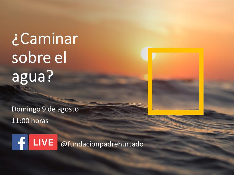 MesSolidaridad's tweet photo. Misa del domingo 9 de agosto, los invitamos a verla a través del Facebook Live: https://t.co/o9SL0zhO6Y
y si quieres dejar tus intenciones, pincha aquí: https://t.co/JkVjq5Ey8A
¡Te esperamos!
#TiempodeSentidoSocial 
#MesdelaSolidaridad2020
#JugaocomoAlbertoHurtado https://t.co/UfWBRSHqNA