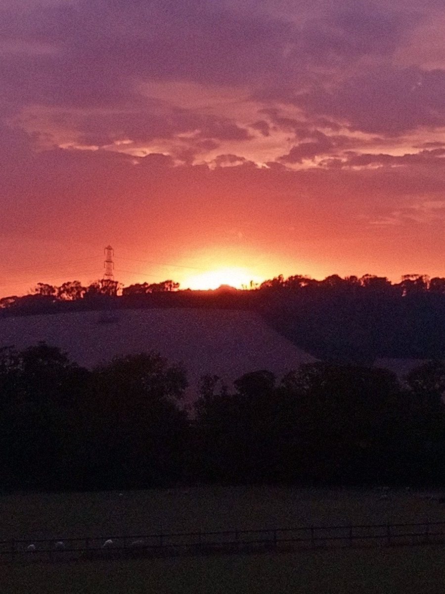 Steve Halliwell (@stevehalliwell5) on Twitter photo 