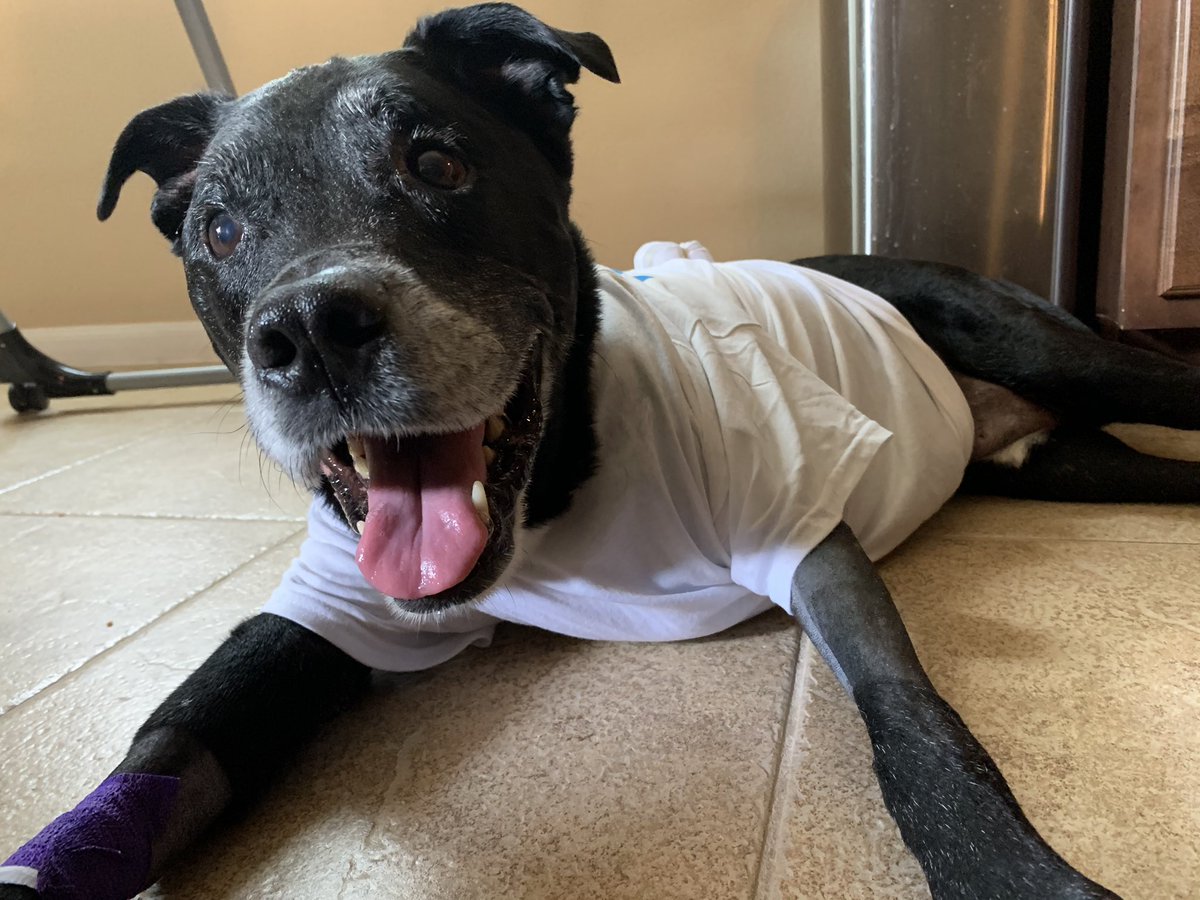 He’s home and doing great! Eating, drinking, and using his bad leg! What an improvement! 🙌🏻
