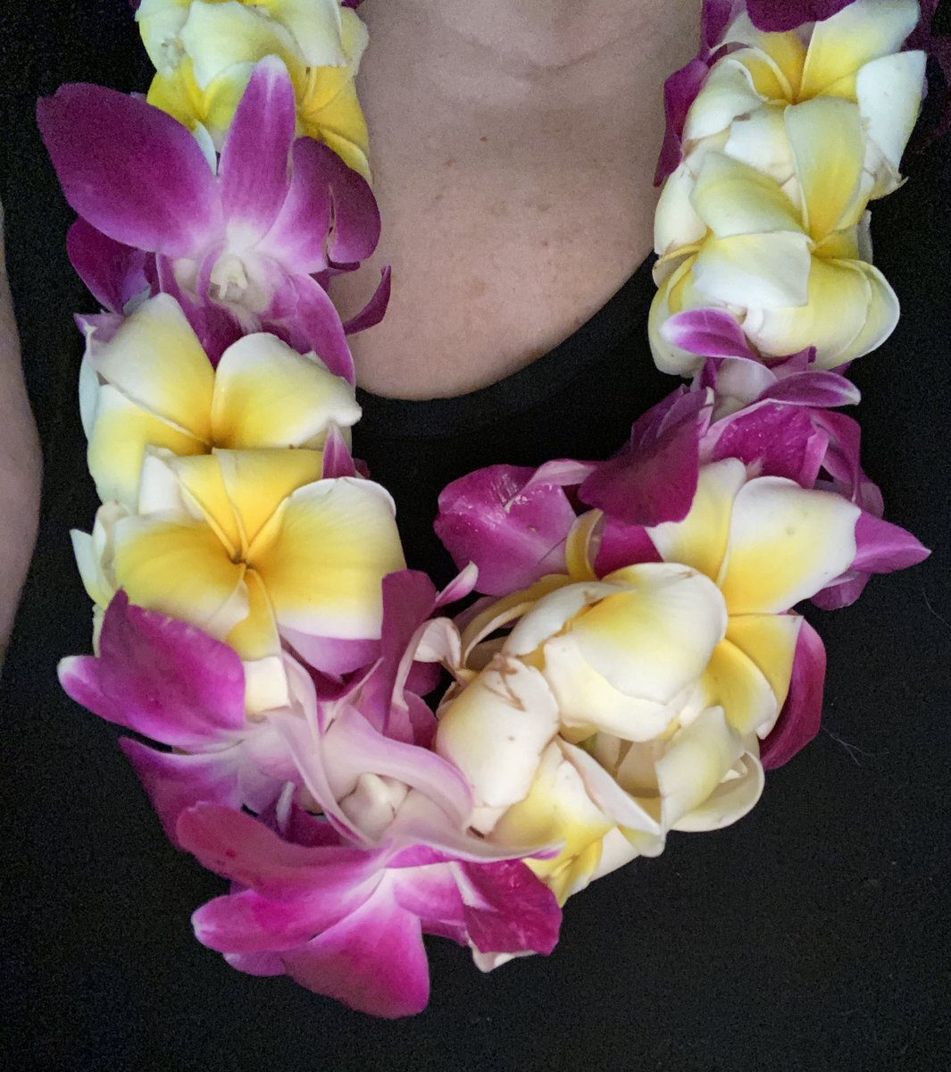 bjb1124's tweet photo. Been feeling nostalgic and blue the past week or so. Lockdown, the loss of my mom and the lack of distractions have been feeding it. So I did something impulsive and got lei’d. Straight from Hawaii and the fragrance takes me back to younger days #NoRegrets #OnlyGoodTimes https://t.co/Gioa2RIwl4