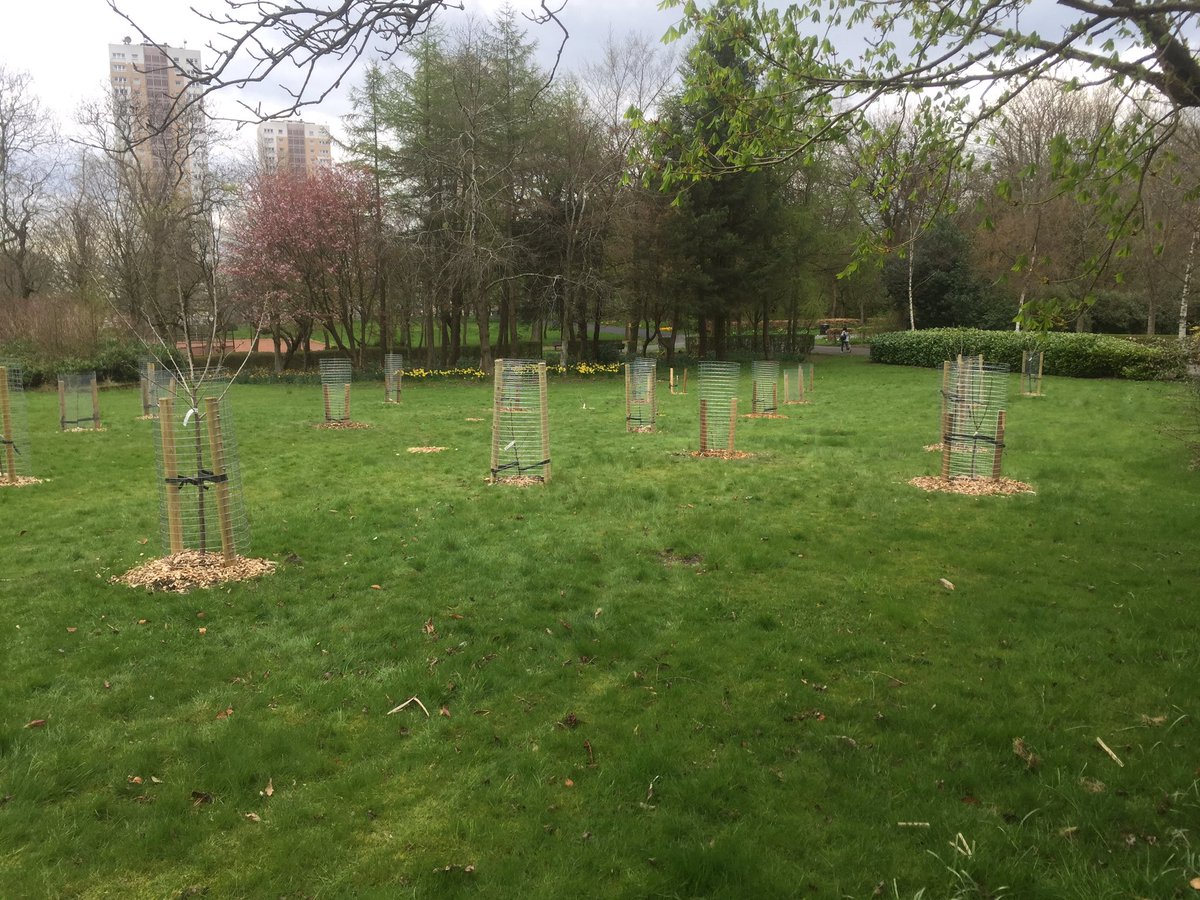 Bluenileman53's tweet image. Fantastic group of people who enjoyed the fabulous sunny weather at Springburn Park today, much more we’re camera shy , another feature in the park, a fruit orchard