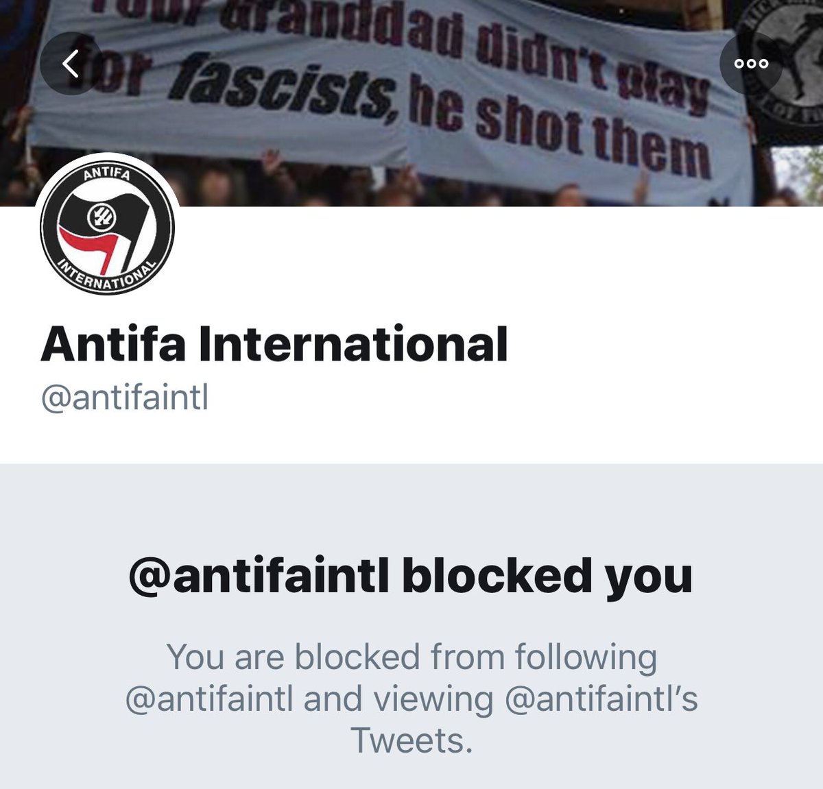 Apparently, the way you fight fascism is to block people on twitter. I thought these guys, who are often compared to the Hitler-fighting soldiers of WWII, would have thicker skin.