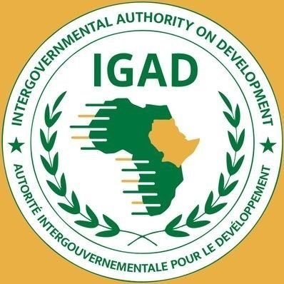 SolnapCenter's tweet photo. The Republic of Somaliland will play a key role in the AU and IGAD. The issue of #R_SL independence should not be postponed #RSL is ready to resolve conflicts, development, the economy and even if we need to prepare a force that can ensure the security Of @_AfricanUnion countries https://t.co/tMnsyxedDi
