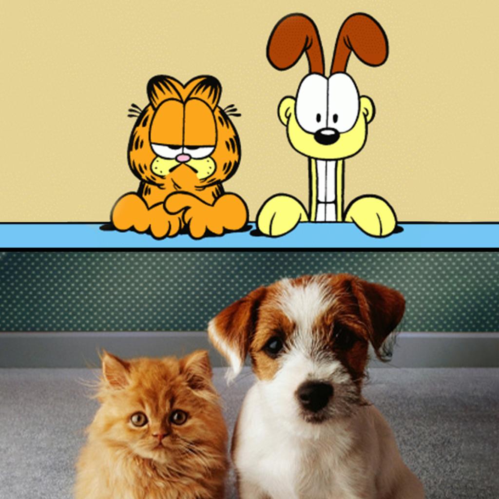 Slapper af hykleri Ørken Garfield on Twitter: "copy kittens #InternationalCatDay  https://t.co/pXUea32duk" / Twitter