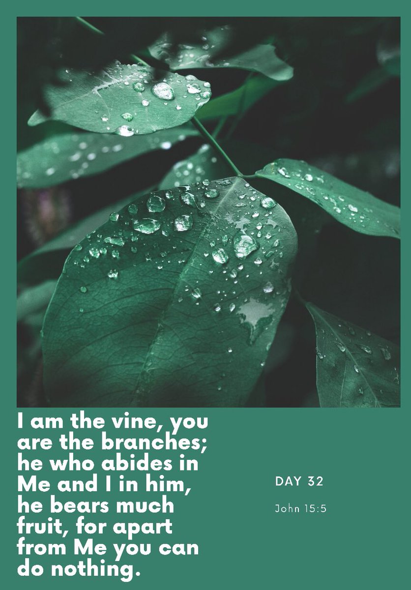 UCatOKSTATE's tweet photo. • Day 32 •

Continue this prayer on your own spending time praising Him for the connection He desires to have with us. https://t.co/ao5J5qZ3An