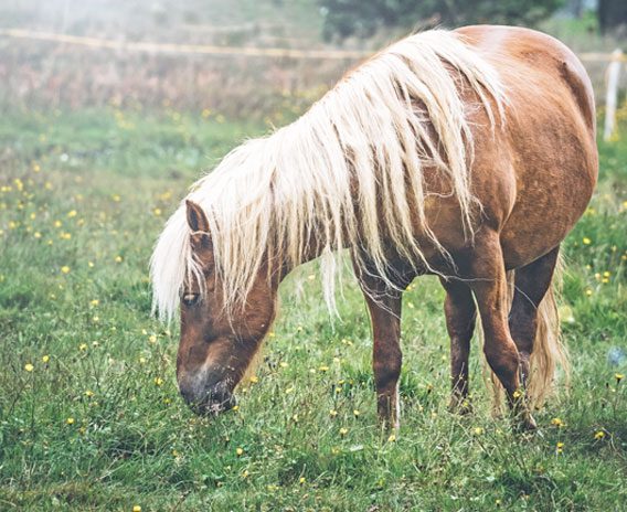 12 expressions étranges en allemand que nous devrions tous utiliser ! bit.ly/2Pto9iP