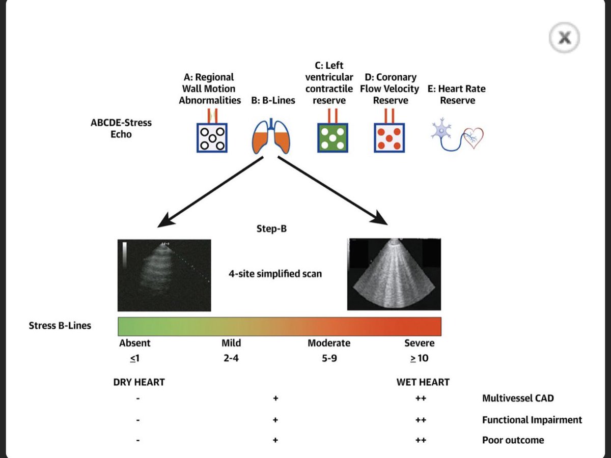 Dr. Delgado Cidranes tweet media