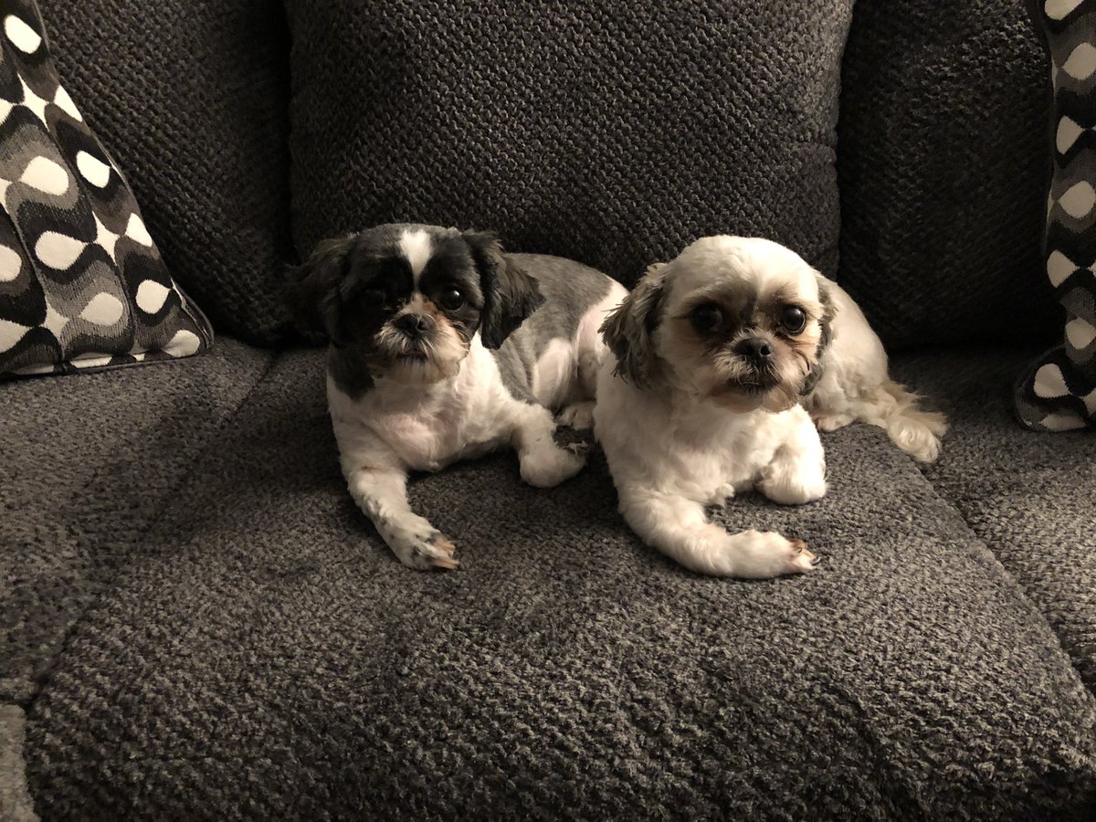 Ms. Jessica Gonzalez tweet media